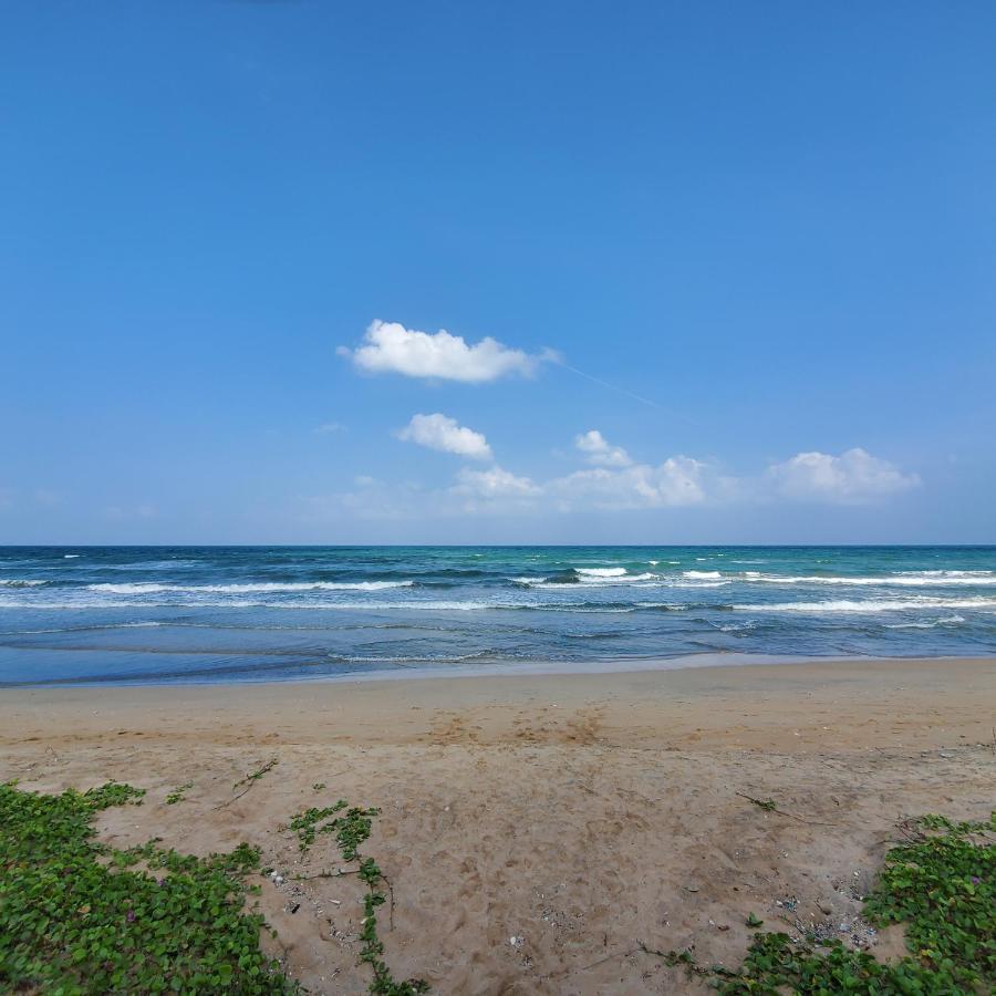 נילבלי Beach Front Paradise מראה חיצוני תמונה